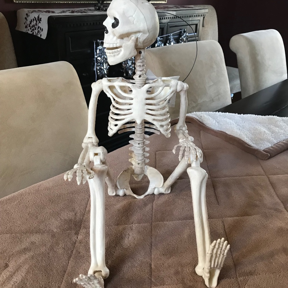 Halloween Haunted Skeleton Talking Movable